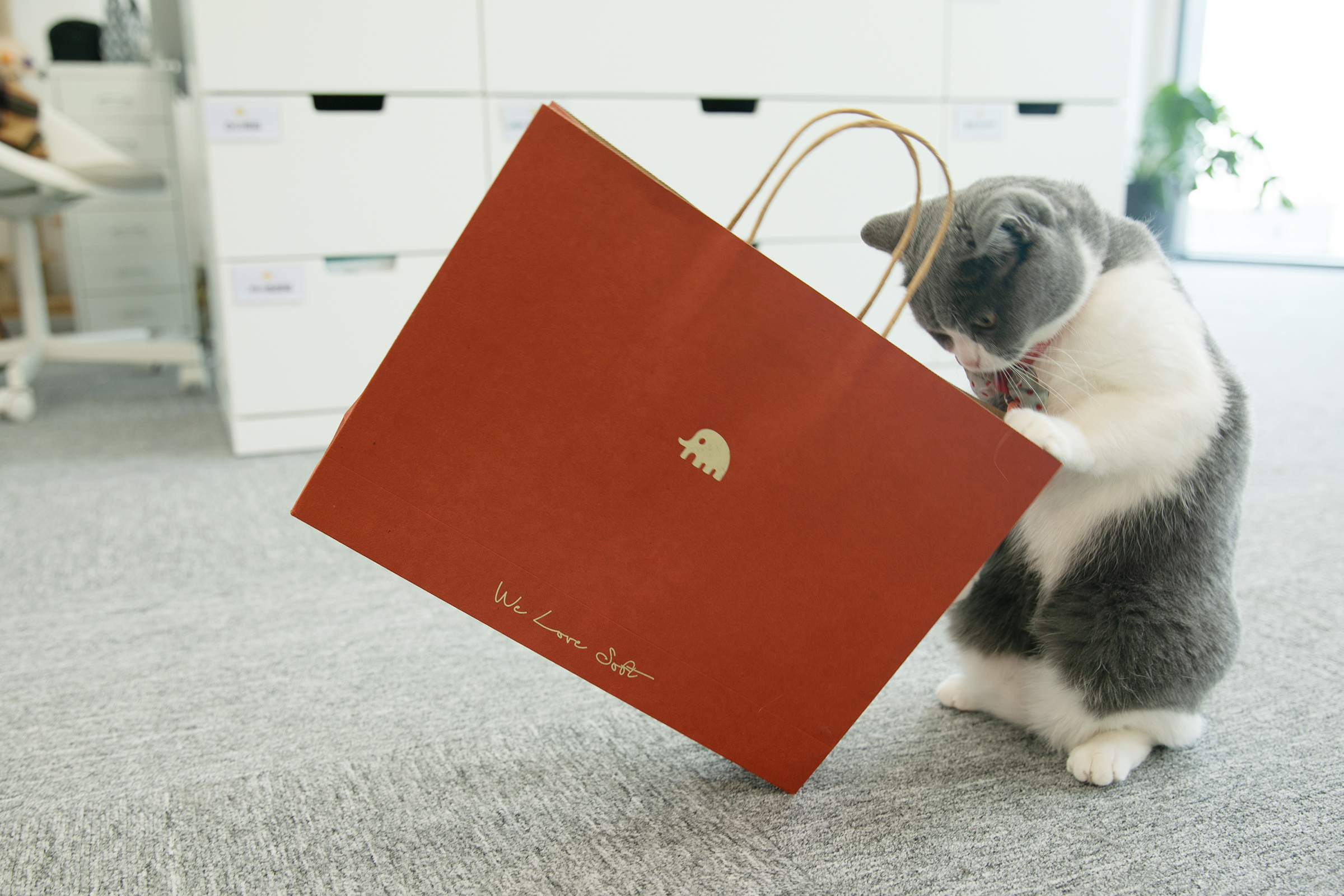 小金象环保礼品袋 - 加厚牛皮纸 复古红色拎绳纸袋  无味环保胶水