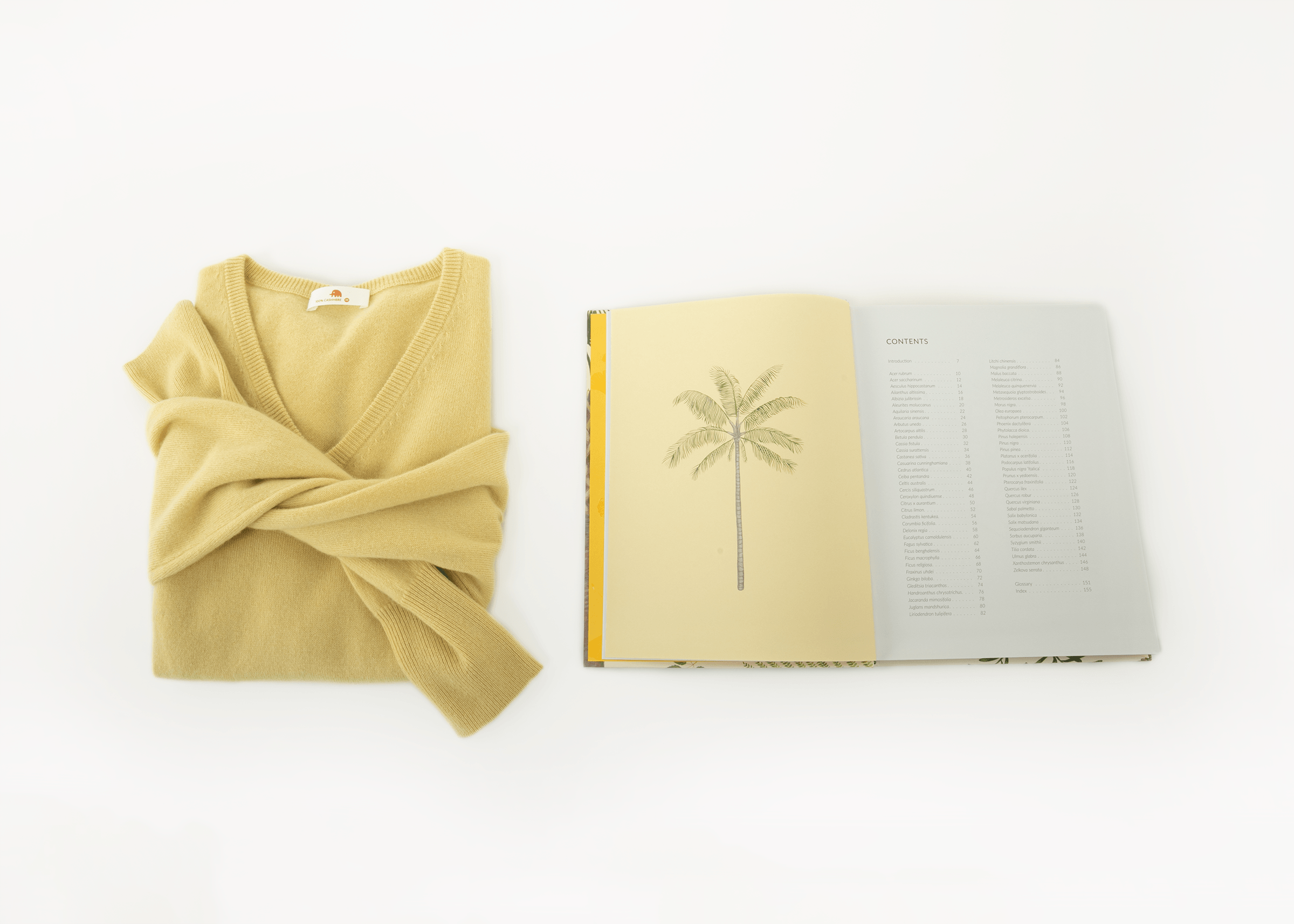 小金象 - BABY CASHMERE 100%-基础通勤 女12针经典V领长袖羊绒衫