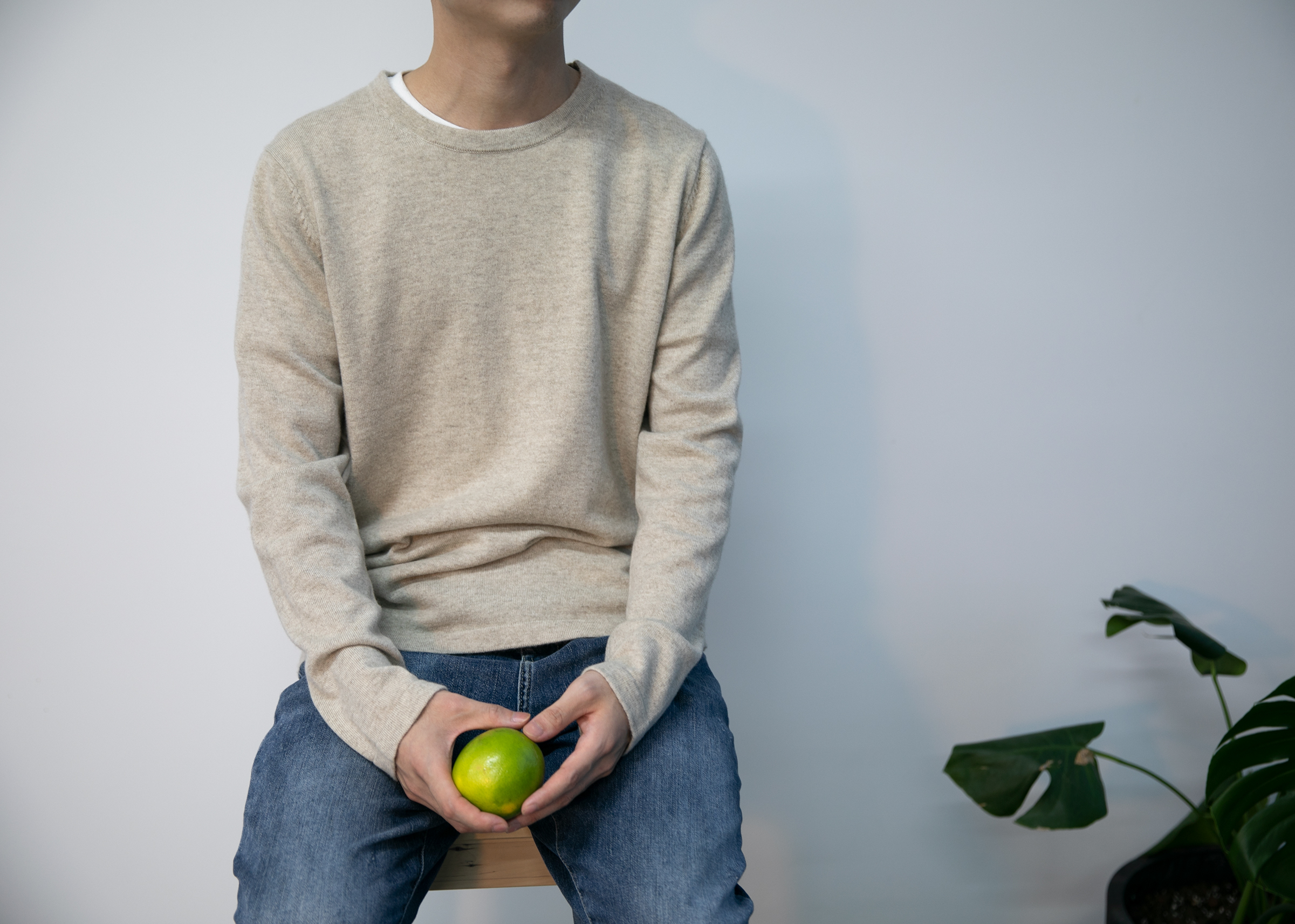 小金象 BABY CASHMERE 100% -休闲放松的姿态 男12针小山羊绒圆领