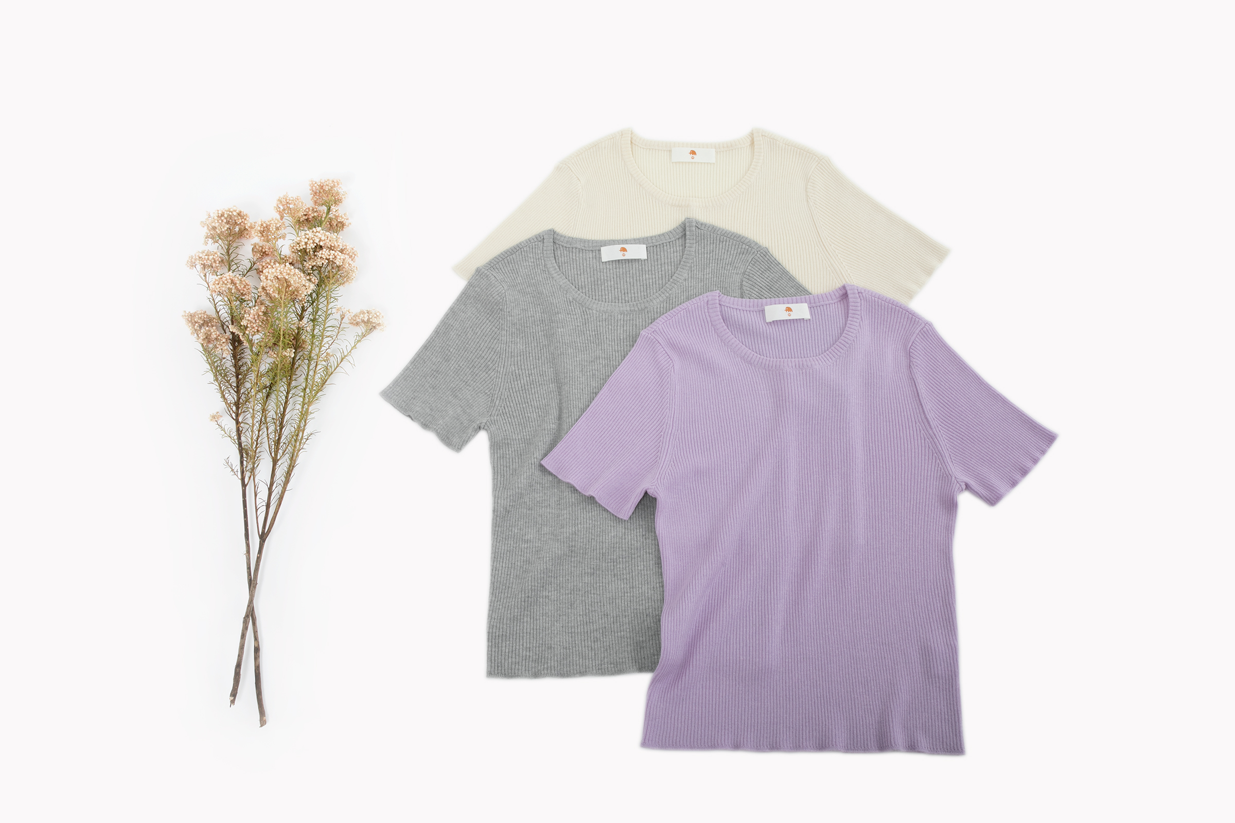 小金象 真丝85% 山羊绒15%- 春夏超短修身针织罗纹圆领短袖康赛妮