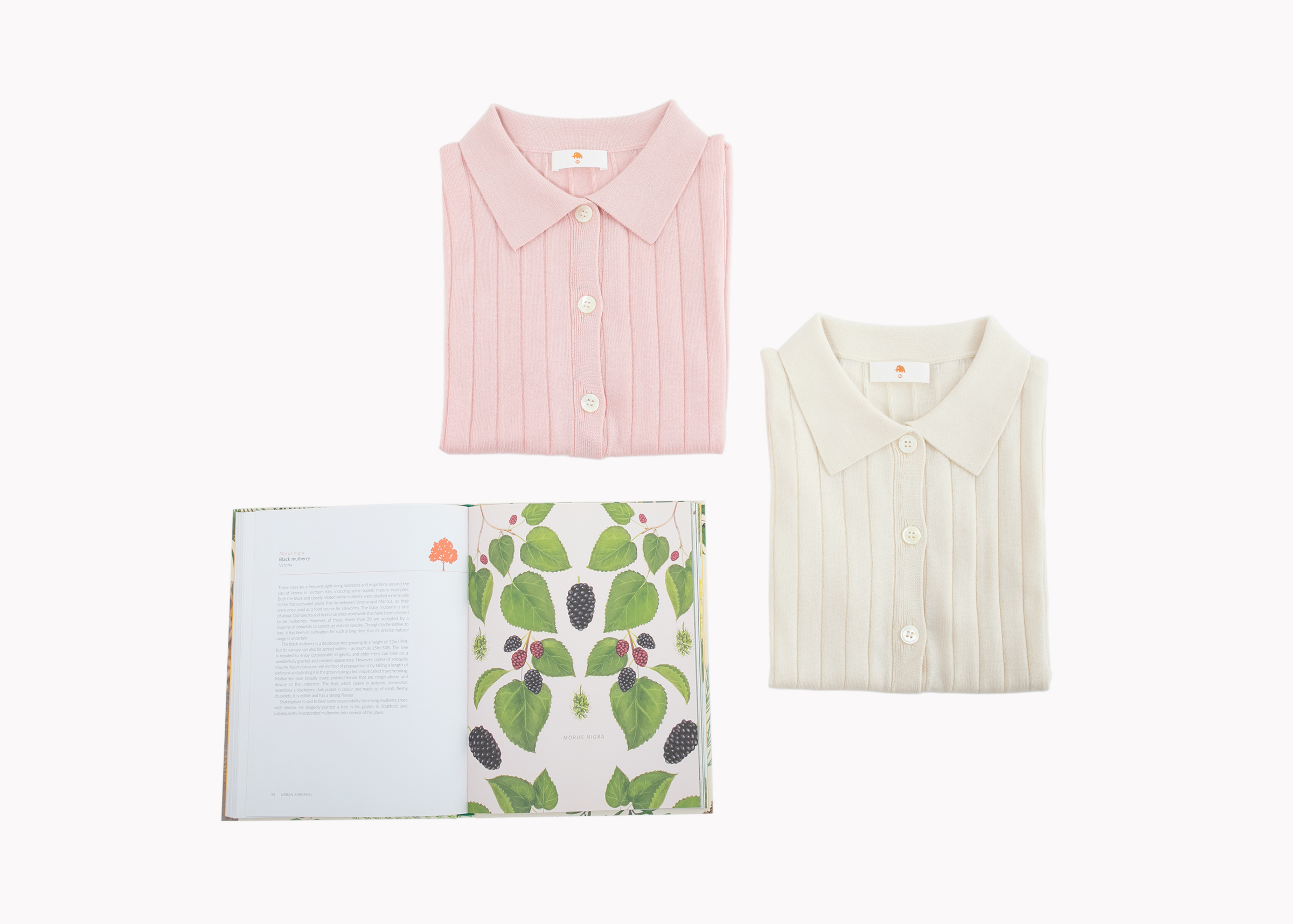 小金象 真丝85%山羊绒15%-春夏通勤翻领Polo领坑条短袖开衫康赛妮