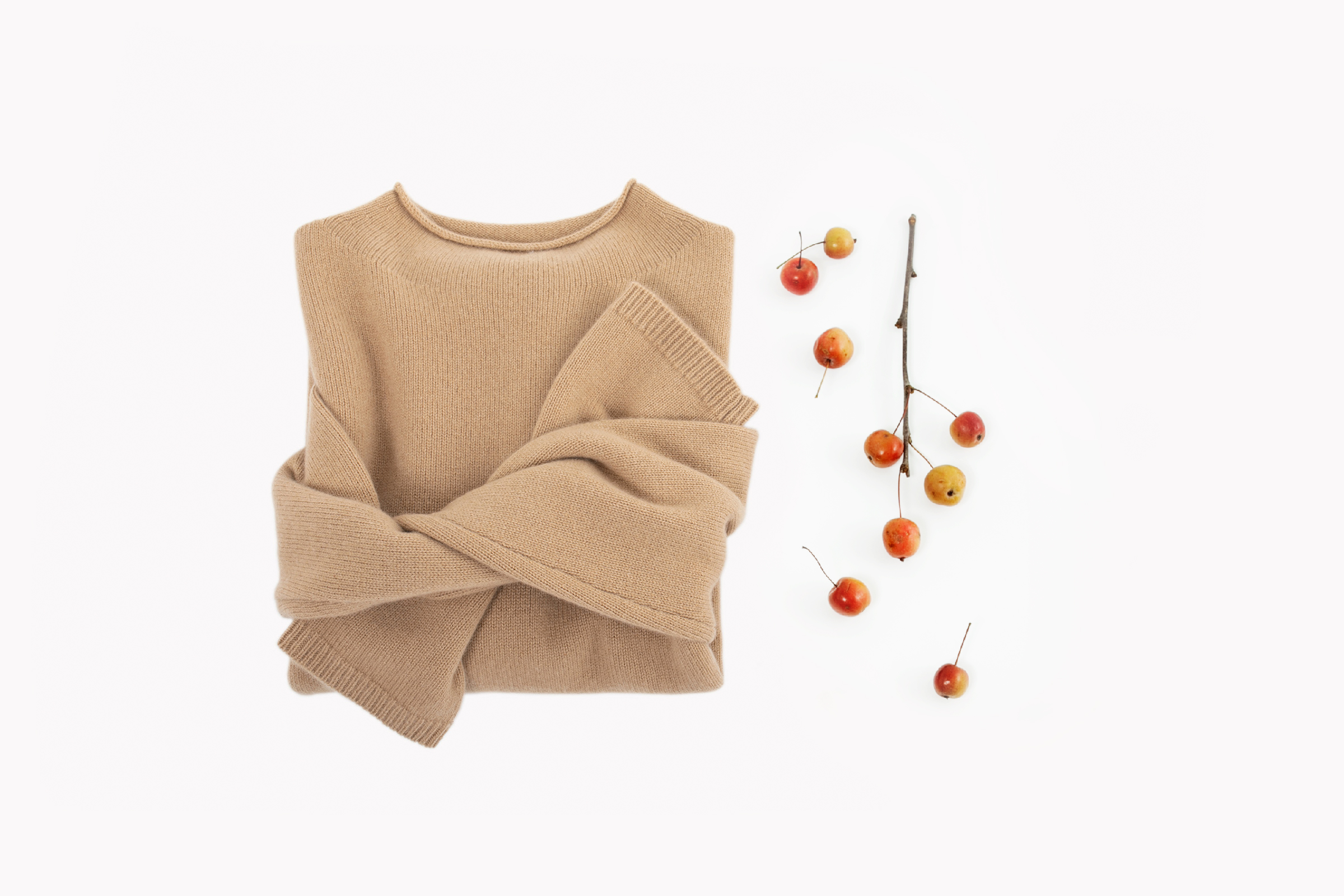 小金象-BABY CASHMERE 100%-女中厚小山羊绒半高领宽松短款套头衫