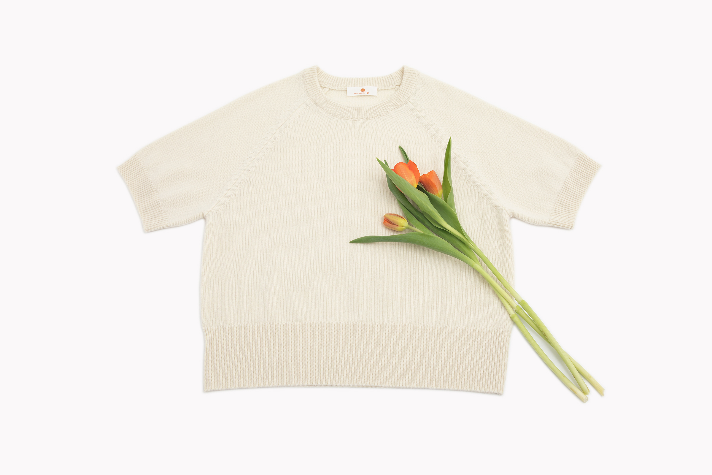 小金象 BABY CASHMERE 100% -女9针中厚小山羊绒圆领插肩袖短袖衫