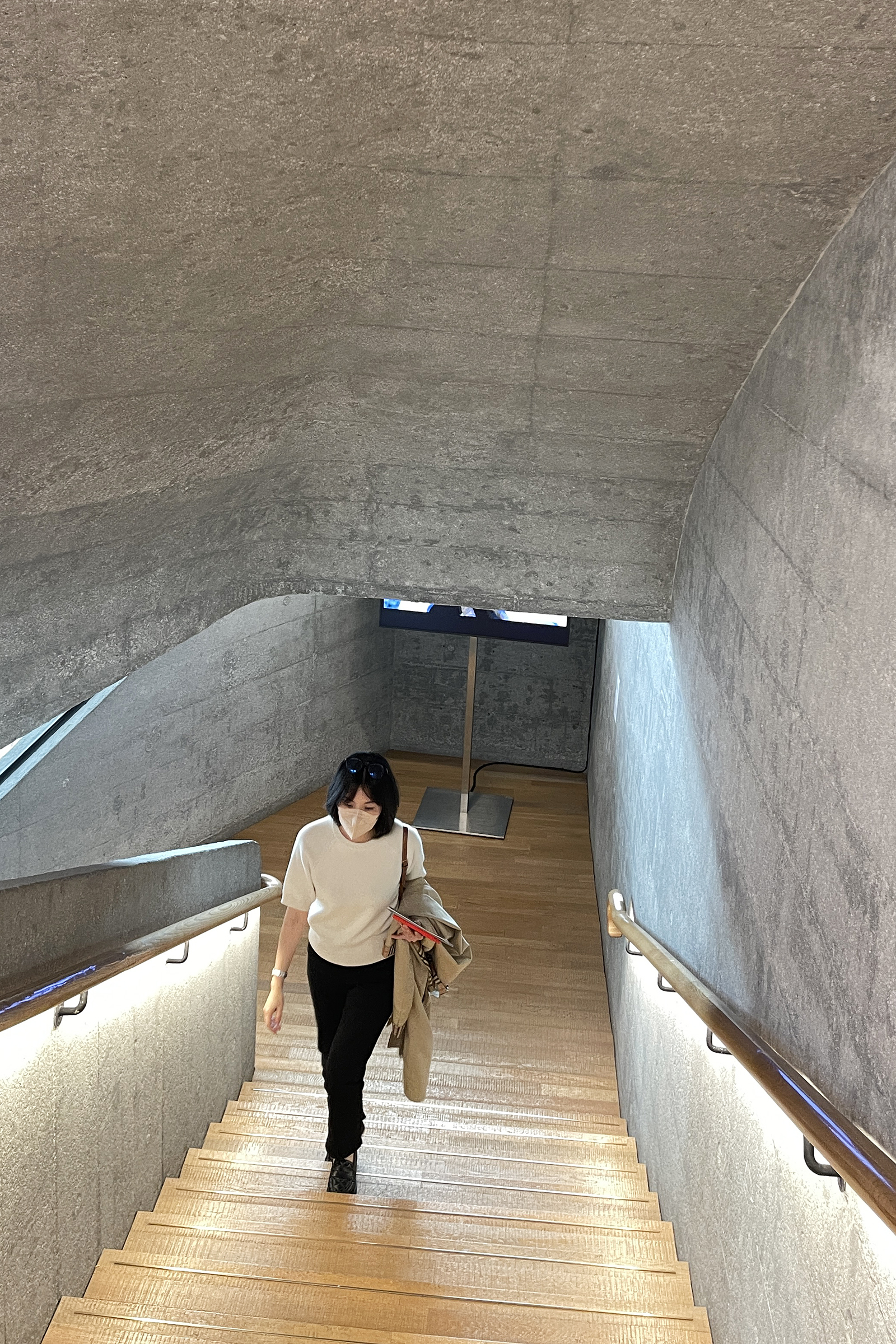 小金象 BABY CASHMERE 100% -女9针中厚小山羊绒圆领插肩袖短袖衫